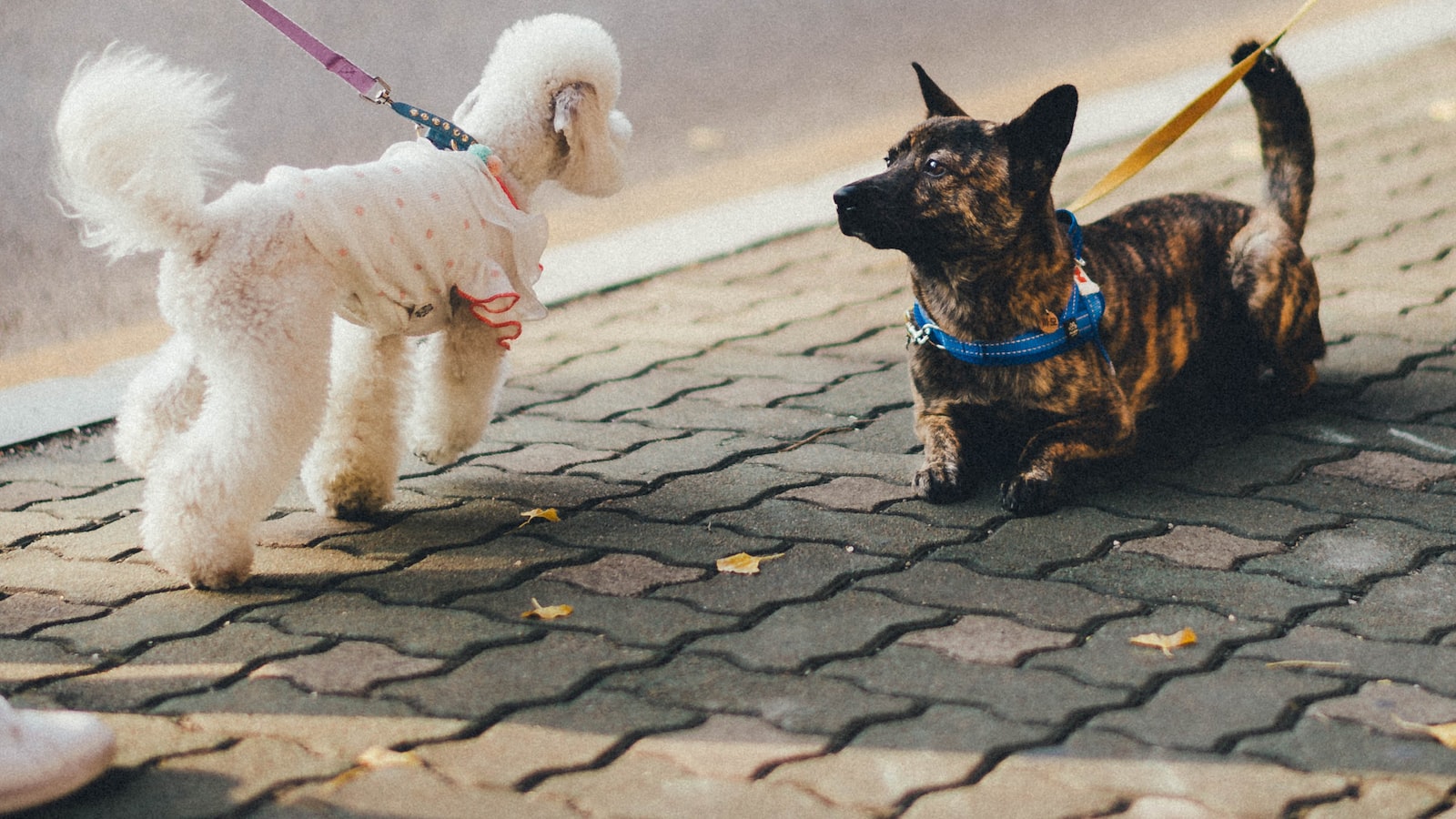 Crafting a ⁢Captivating Introduction that Hooks Readers ‍Instantly